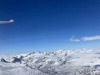 IMG 7462